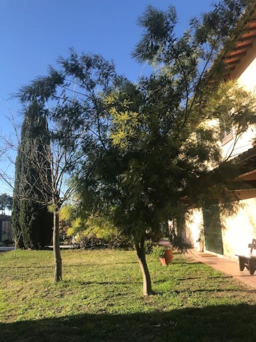 Casa Isabelle Leilighet Canneto  Eksteriør bilde