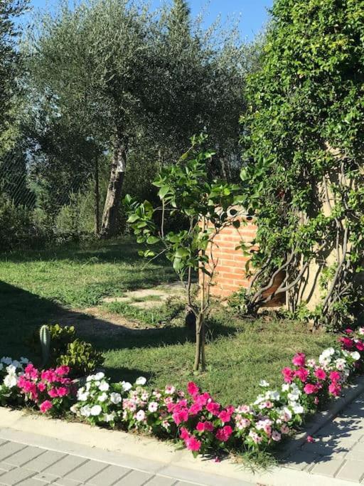Casa Isabelle Leilighet Canneto  Eksteriør bilde